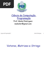 Aula 5 - Vetores, Matrizes e Strings-FFB