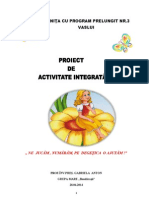 proiect_gr_.i.gabi_anton.docx