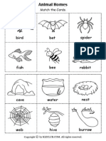 Bird Bat Spider: Match The Cards