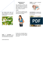 Trip Manzanilla PDF