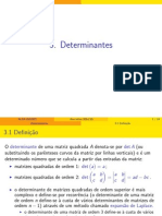 III Determinantes