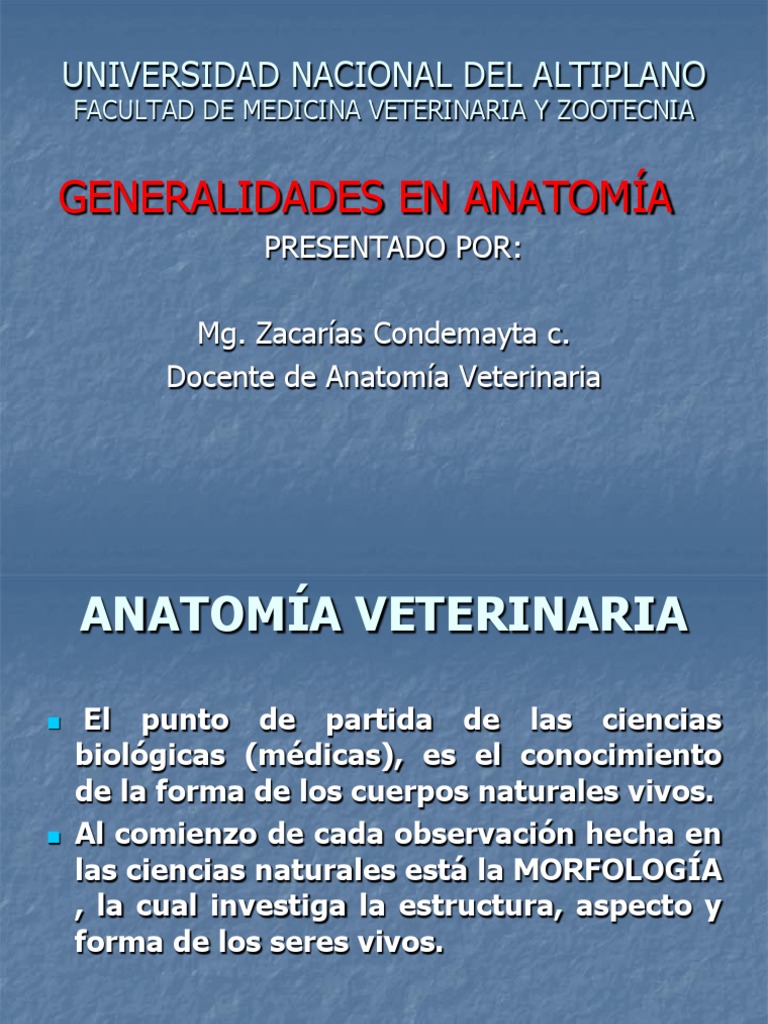 Anatomia Veterinaria Pdf