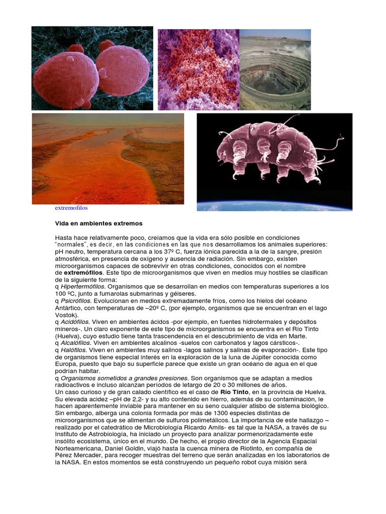 Extremófilos: Vida en Ambientes Hostiles | PDF | Astrobiología | Vida ...