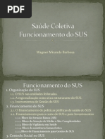 Funcionamento Do SUS