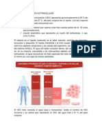 VEC Líquido Extracelular Composición Volúmenes Métodos Medición 27% Peso Corporal