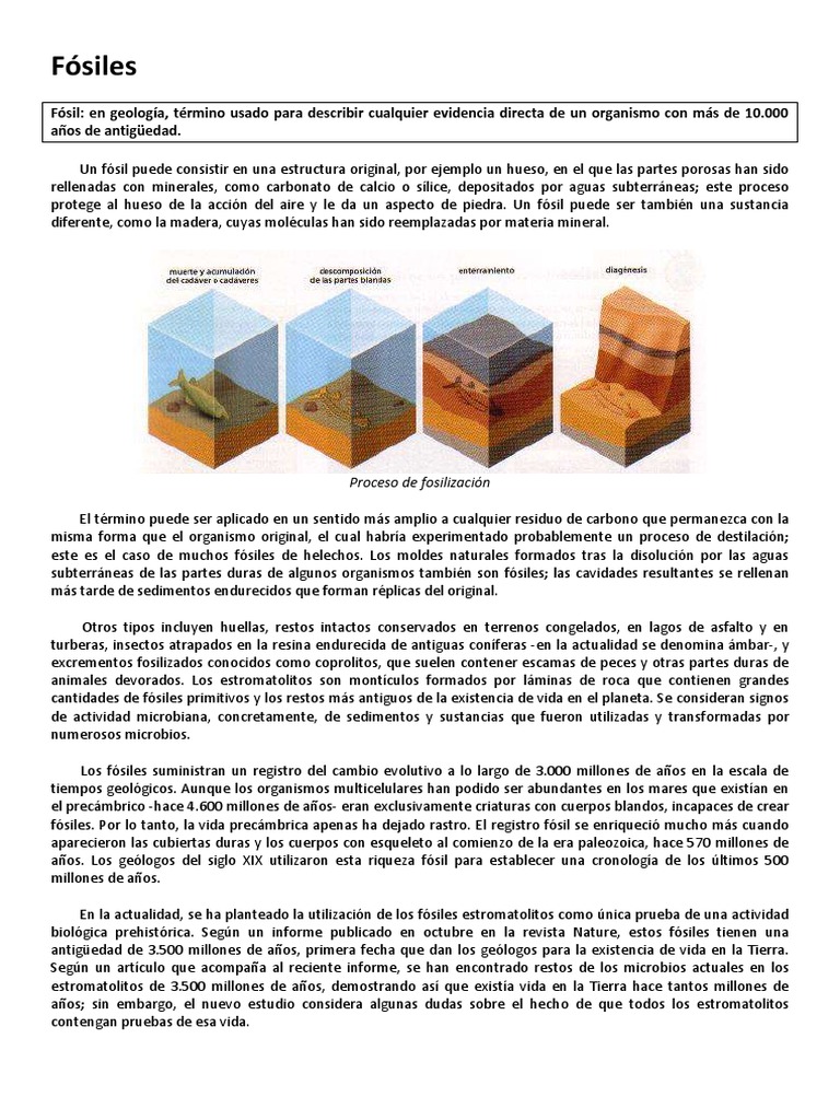 Datacion Radiometrica De La Hoja De Fosiles - Marcus Reid