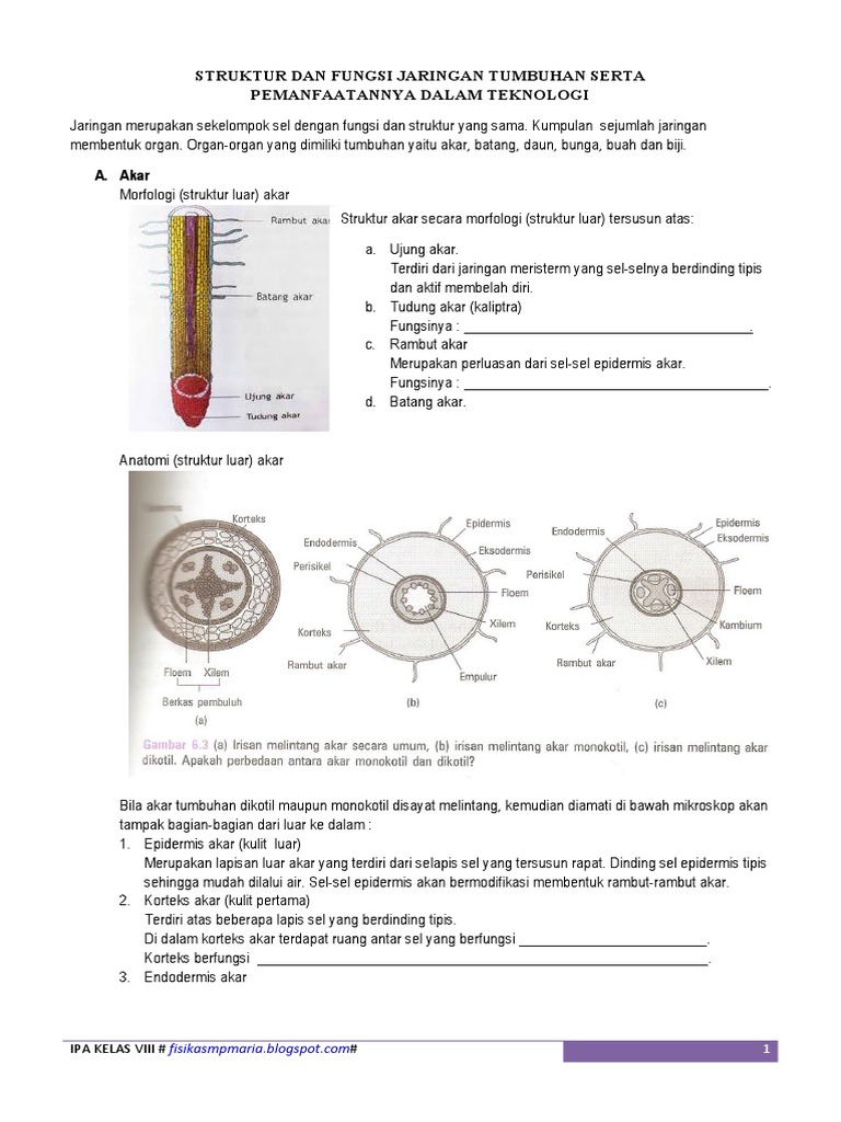 Struktur Dan Fungsi Jaringan Tumbuhan Serta Pemanfaatnnya Dalam Teknologi Lks Pdf