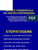 VALVELE CONGENITALE DE URETRA POSTERIOARA.ppt