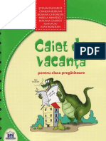 Caiet de Vacanta