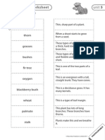 Definitions Worksheet: Unit 5