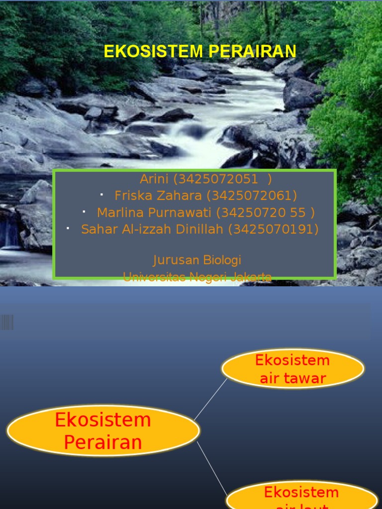 Contoh Ekosistem Air Tawar  Contoh  AJa  Contoh Ekosistem Air Tawar  Contoh  AJa