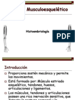 Histoembriología Del Sistema Musculoesquelético Modif