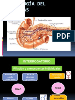 semiologiadepancreas-130809201233-phpapp02