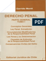 DP Derecho Penal Tomo i - Garrido Montt_ Mario