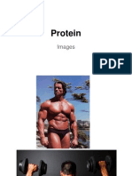 Protein Images