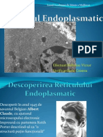 Reticulul Endoplasmatic