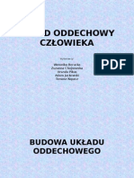 Układ Oddechowy