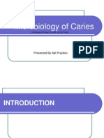 Microbiology of Caries: Presented by Adi Prayitno