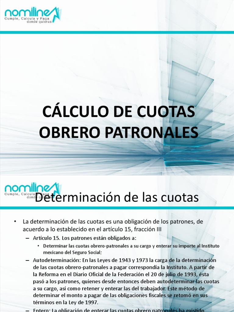 Cálculo de Cuotas del IMSS | PDF | Gobierno | Economias