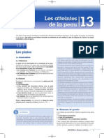 BSP 200.2 13 Atteintes de la peau.pdf