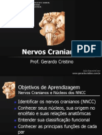 T2 Nervos Cranianos e Nucleos