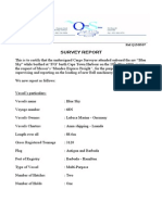 Cargo Survey Report