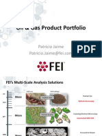 Oil & Gas FEI Product Portfolio