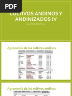 Cultivos Andinos y Andinizados IV