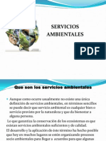 Presentacion 5 (Servicios Ambientales)