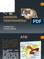 Articulación Temporomandibular