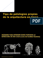 Tipo de Patologías Propias de La Arquitectura en Tierra