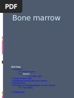 Download Bone Marrow by nwara23 SN24653801 doc pdf