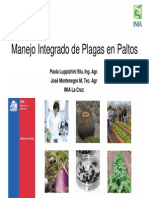 MIP Palto PDF