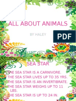 All About Animals: by Haley