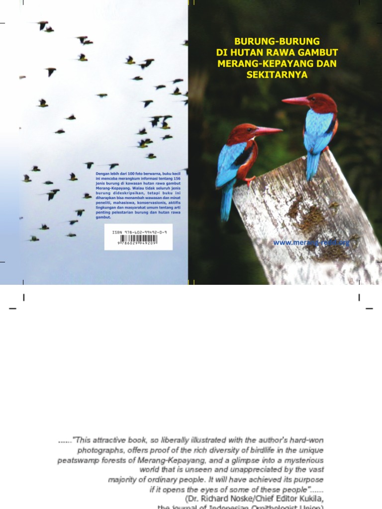 Burung Burung Di Hutan Rawa Gambut Merang Kepayang Dan Sekitarnya