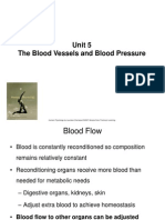 Unit 5 Blood Pressure