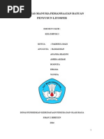 Download Pemanfaatan Batuan Dan Mineral Dalam Kehidupan Sehari by FaridRizkiaTarmizi SN246557536 doc pdf