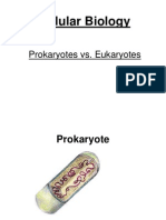 Cellular Biology: Prokaryotes vs Eukaryotes