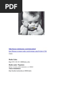 Adrese TV 2013 | PDF | Television Network | Media Formats