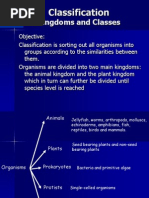 Classification