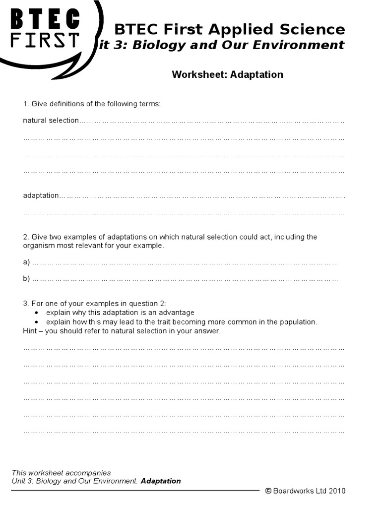 Adaptation Worksheet | PDF