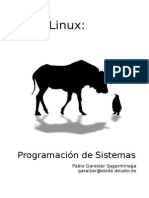 Programacion GNULinux