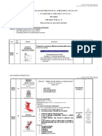 M7 S3 Structura Proiectului