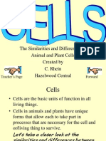 Animalplantcells