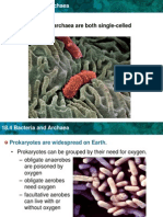 CH 18 Bacteria