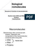 Biological Macromolecules: Structure & Function of Macromolecules