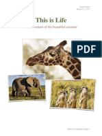 African Wildlife Report Page 1