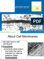 my cell membrane ppt