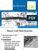 My Cell Membrane