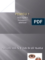 PEMICU 1 PENGINDRAAN